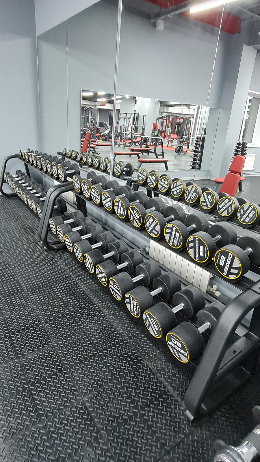 Фитнес-клуб TerraNova Фитнес-клуб TerraNova