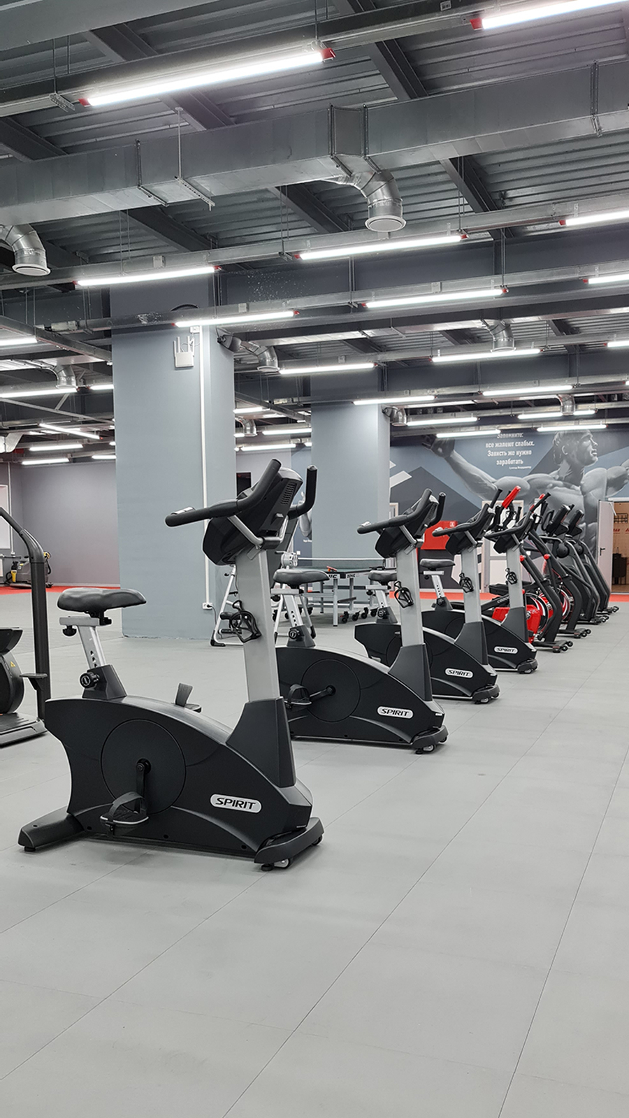 Фитнес-клуб TerraNova Фитнес-клуб TerraNova