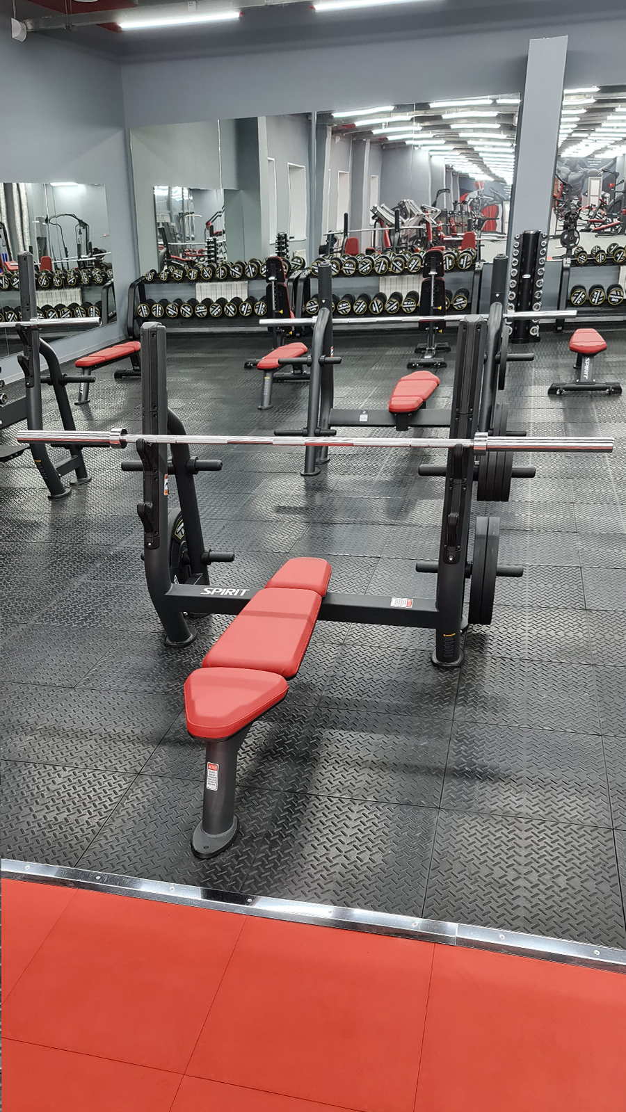 Фитнес-клуб TerraNova Фитнес-клуб TerraNova