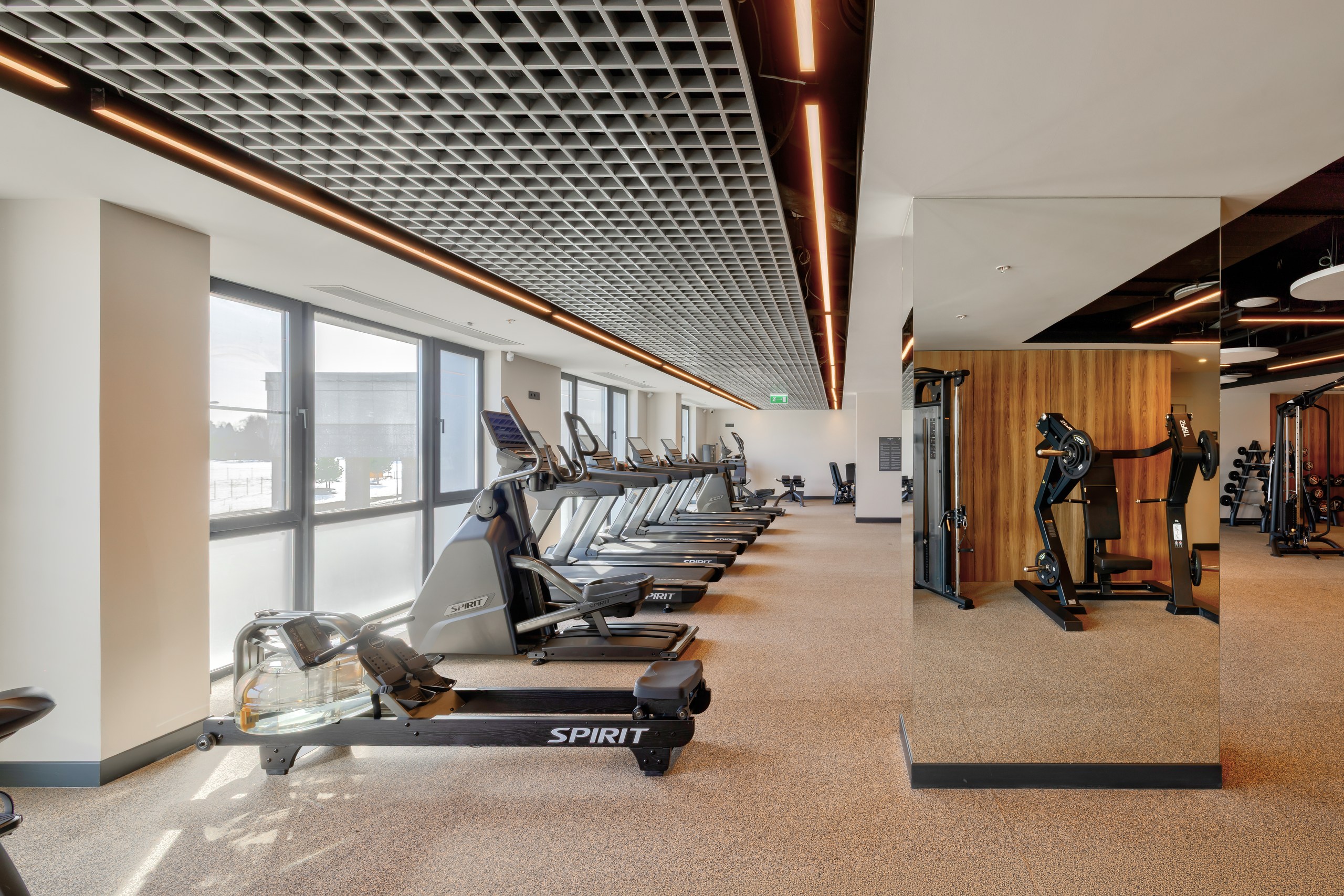 Фитнес-зал в отеле Эрбелия, Завидово