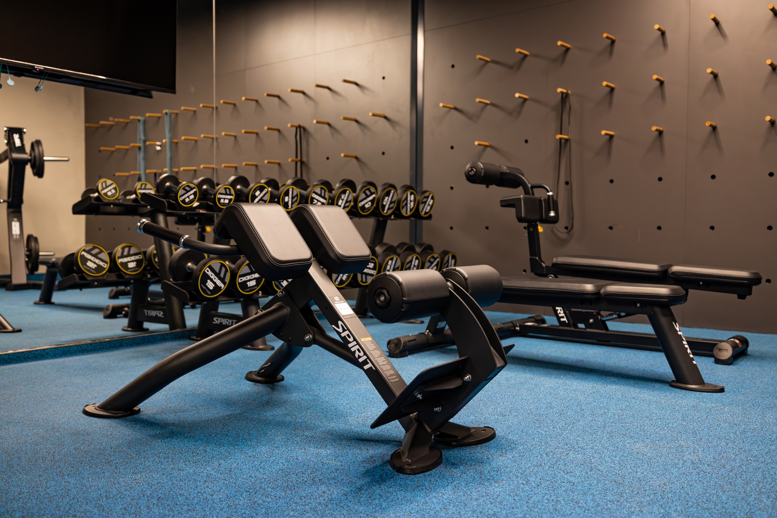 Фитнес-зал в отеле Рябина, Завидово Фитнес-зал в отеле Рябина, Завидово