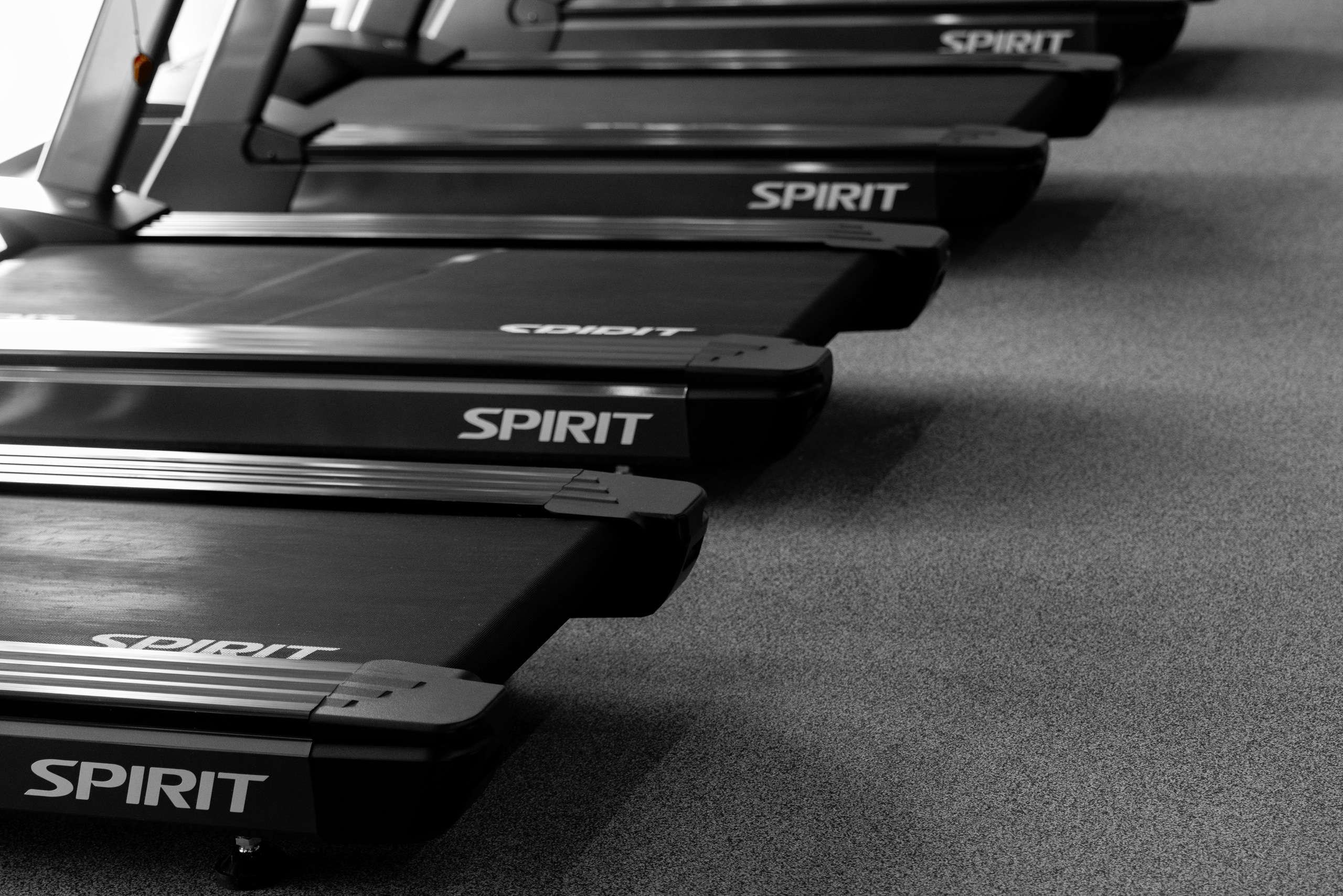 Фитнес-зал в отеле Эрбелия, Завидово